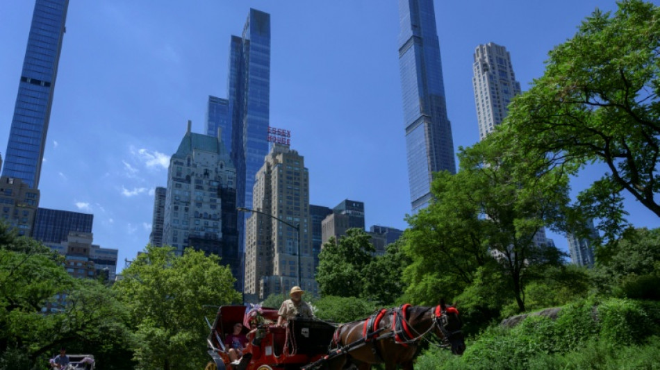  New York votes to ban Central Park horse carriages after decades of debate 