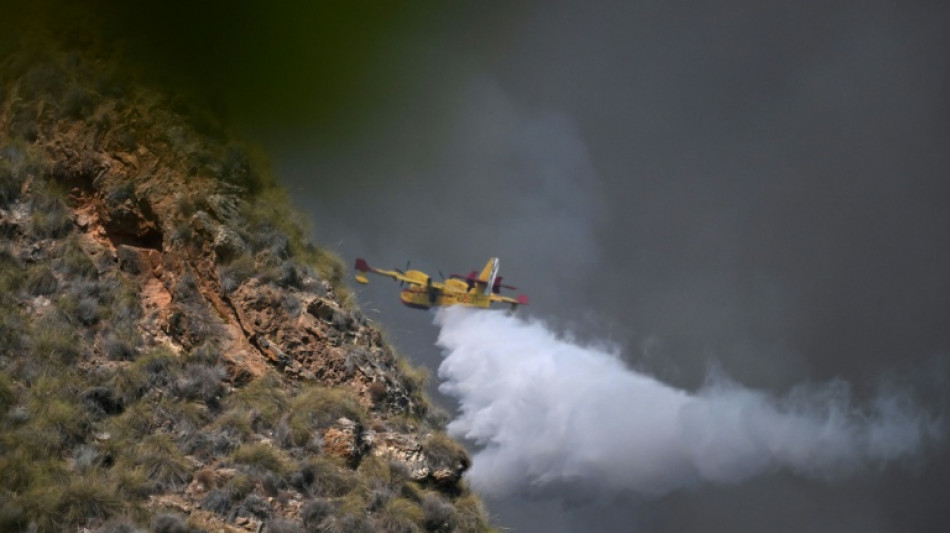 Pelo menos 11 mortos e 19 desaparecidos em inc&ecirc;ndio no sul da Espanha 