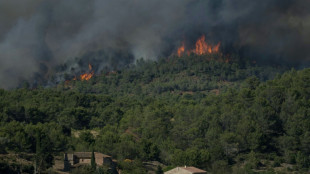 Feuerwehr in S&uuml;dfrankreich k&auml;mpft weiter gegen schweren Waldbrand 