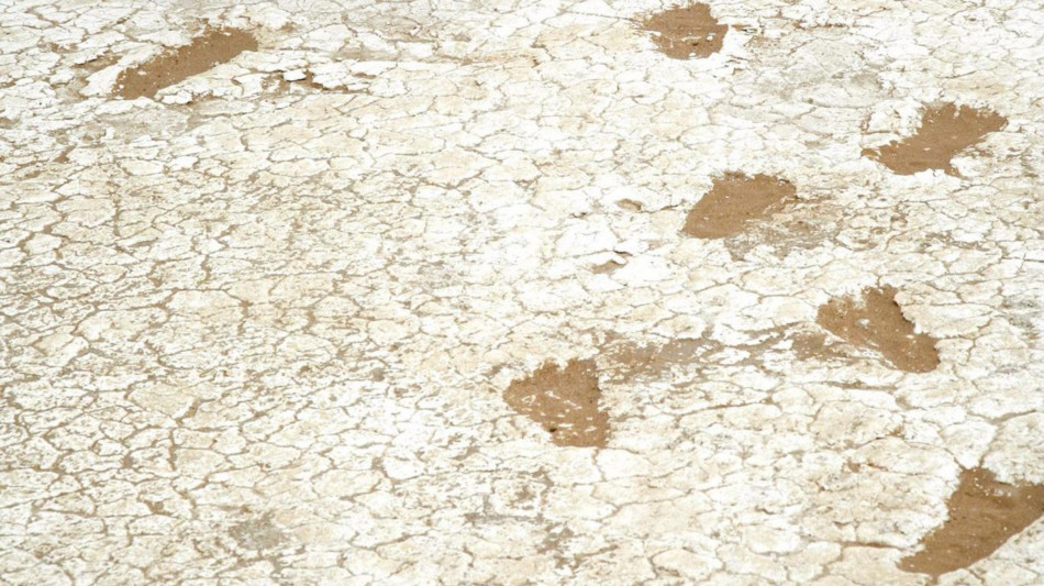  I cugini dell'uomo erano pi&ugrave; alti del previsto 