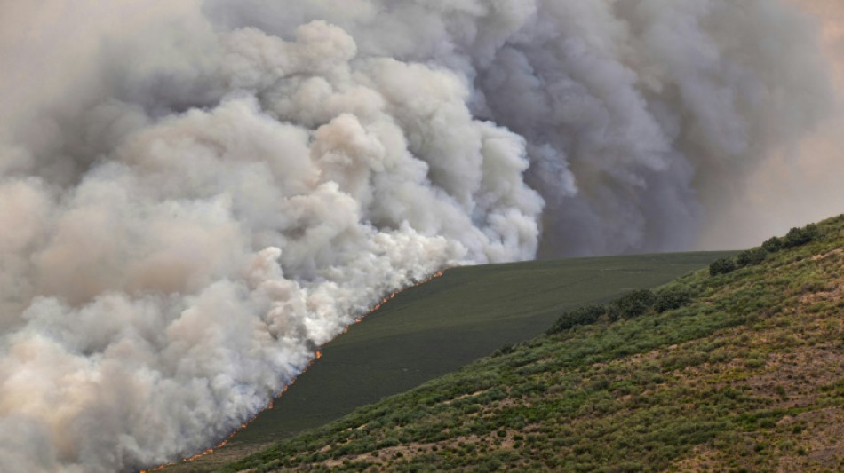 Les incendies ont déjà ravagé 343.000 hectares en 2025 en Espagne, un nouveau record