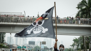 Bandeira pirata de One Piece &eacute; s&iacute;mbolo da rebeldia da Gera&ccedil;&atilde;o Z