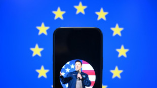 Musk 'very welcome' in Europe after Trump bust-up, official says