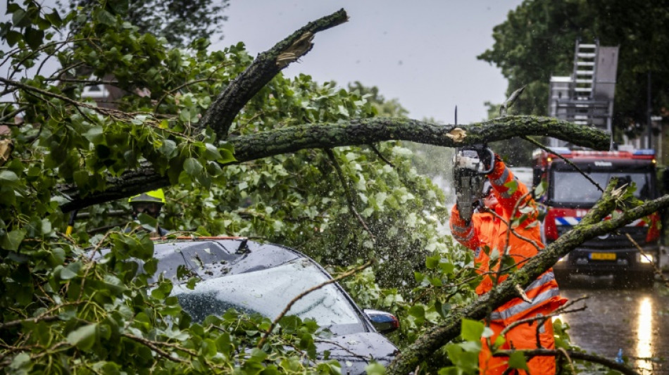 Un muerto y caos en los transportes por una tormenta de verano en Pa&iacute;ses Bajos