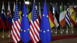 Trump, 'avremo un accordo con l'Ue sui dazi'
