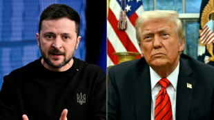 Ukrainischer Vertreter: Ukraine und USA &uuml;ber Rohstoff-Abkommen einig