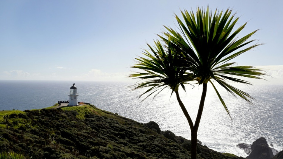 Nouvelle-Zélande: la mer se réchauffe plus rapidement que la moyenne mondiale, selon une étude