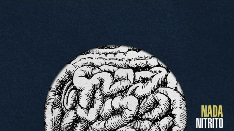 E' 'Nitrito' il nuovo album di inediti di Nada