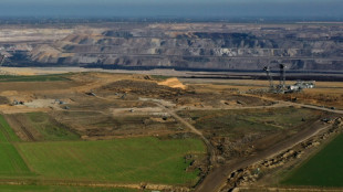 Gr&uuml;nen-Fraktion will Kohleausstieg schon 2030 und st&ouml;&szlig;t auf Widerspruch