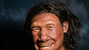Los neandertales no se mezclaban y quiz&aacute;s eso explica su desaparici&oacute;n