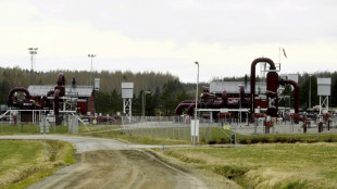 Suspensi&oacute;n del suministro de gas ruso a Finlandia a partir del s&aacute;bado