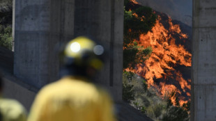 Foreigners among 12 dead in Spanish wildfire, 23 missing