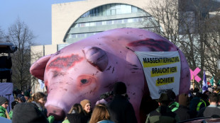 Mehrere tausend Menschen demonstrieren in Berlin f&uuml;r neue Agrarpolitik