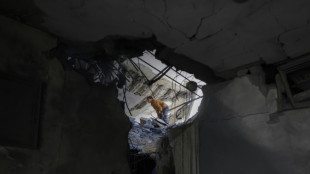 Israel excluye la entrada de ayuda humanitaria en Gaza