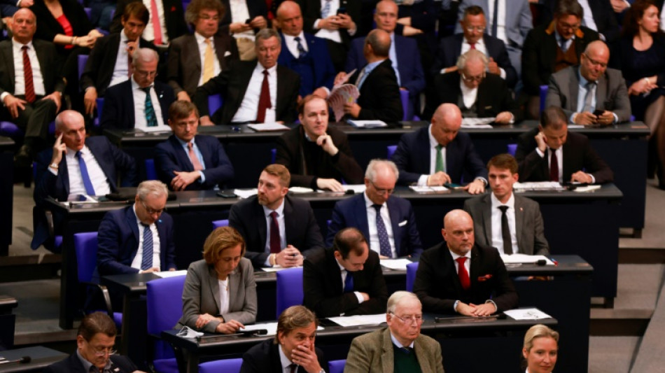 Bundesverfassungsgericht entscheidet &uuml;ber Ausschussvorsitze von AfD in Bundestag