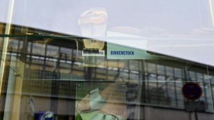 Bundesgerichtshof urteilt &uuml;ber Einstufung von Birkenstock-Sandalen als Kunst