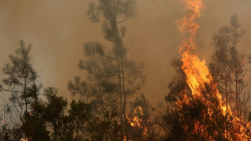  Espanha enfrenta 'o maior inc&ecirc;ndio florestal' de sua hist&oacute;ria recente 