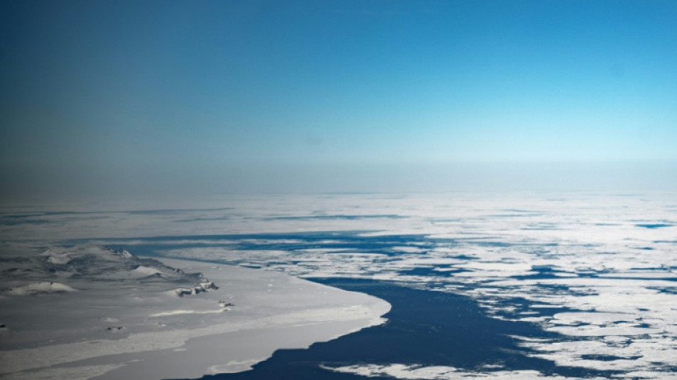  Polar oceans transformed as warming melts ice habitats: research 