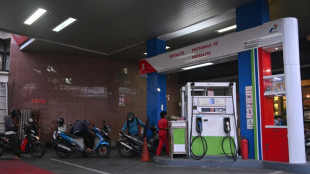 El consumo mundial de petr&oacute;leo aumentar&aacute; menos de lo previsto en 2025, seg&uacute;n la Opep