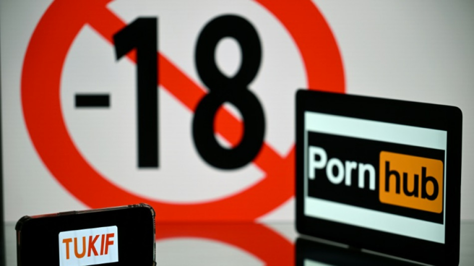 Francia impone la verificaci&oacute;n de edad en los sitios web porno