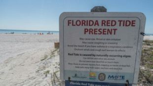 La mar&eacute;e rouge, un casse-t&ecirc;te r&eacute;current pour la c&ocirc;te ouest de la Floride