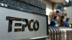 Japon: un dysfonctionnement retarde le red&eacute;marrage de la plus grande centrale nucl&eacute;aire du monde