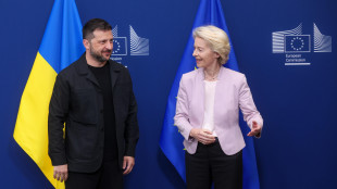 Von der Leyen, 'l'Ucraina sia un porcospino d'acciaio'