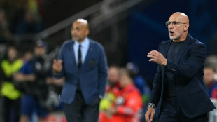 "Sigo achando que n&atilde;o h&aacute; sele&ccedil;&atilde;o melhor do que a Espanha", diz t&eacute;cnico De la Fuente