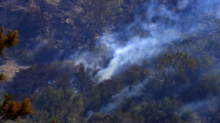 Vigili del fuoco, 'incendio a Creta si sta attenuando'
