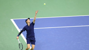 'AI-generated' Sinner terminates Bublik to reach US Open quarters