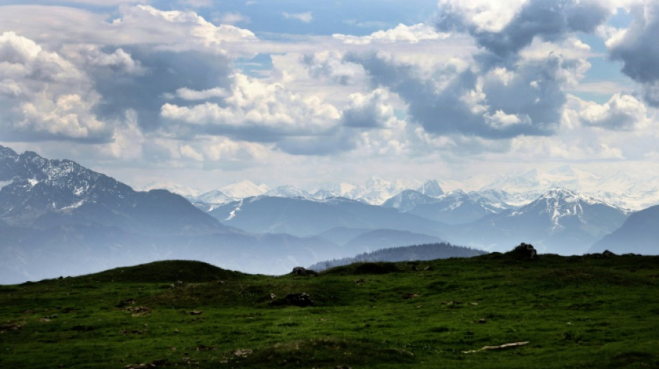 Pilot stirbt bei Absturz von Segelflugzeug in bayerischen Alpen