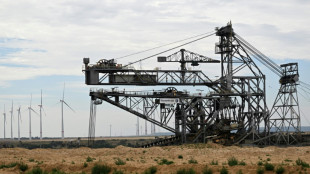 Gr&uuml;ne stellen sich mit knapper Mehrheit hinter Kohle-Deal mit RWE