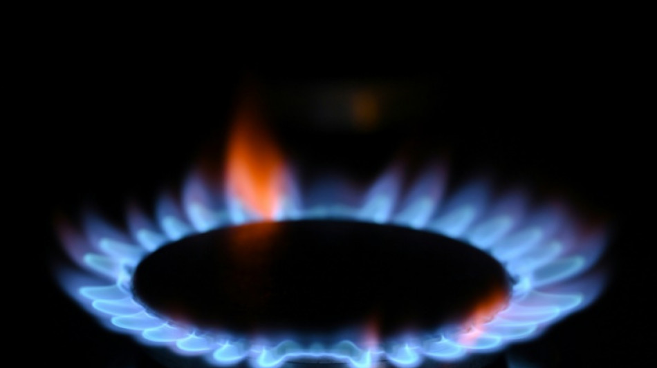 &Ouml;konomen fordern Anreize statt Vorschriften zum Energiesparen