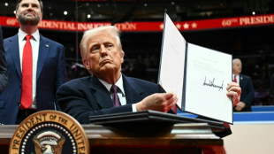 Certain foreign firms must 'self-certify' with Trump diversity rules: US embassies