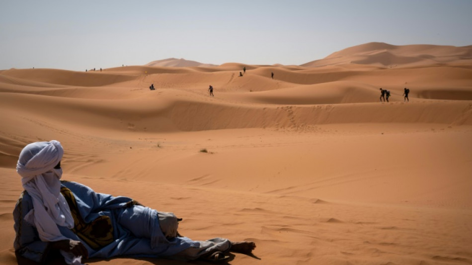 Argelia convoca a su embajador en Madrid tras giro de Espa&ntilde;a sobre S&aacute;hara Occidental