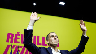 Glucksmann (S&D), 'Fitto non pu&ograve; essere vicepresidente'