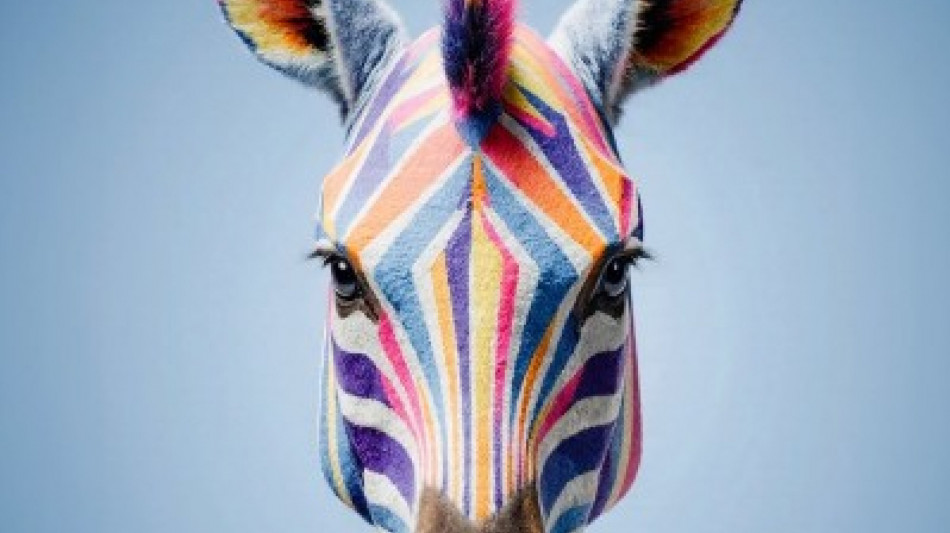 Festival cinema africano, d'Asia e America Latina: 47 film, la met&agrave; prime