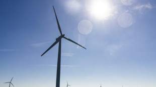 US-Richter erlaubt Fortsetzung von weiterem von Trump gestoppten Windkraftprojekt