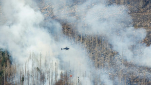 Allemagne: les pompiers face &agrave; un important feu de for&ecirc;t 