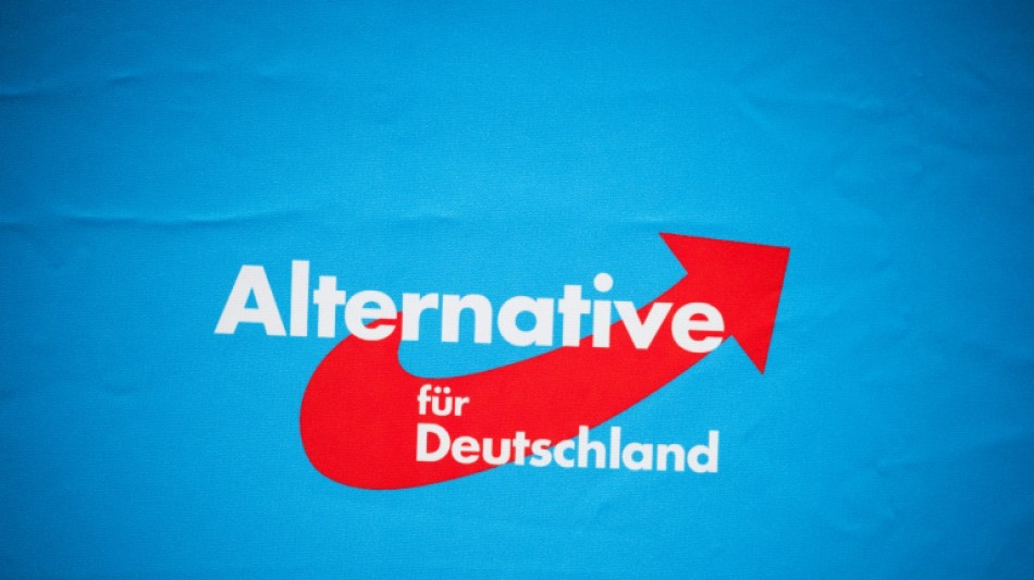 AfD droht mit rechtlichen Schritten gegen Haldenwang wegen Extremismus-Vorw&uuml;rfen