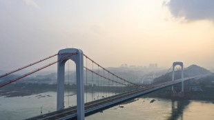 Da poemi cinesi ricostruito il declino dei 'delfini sorridenti'