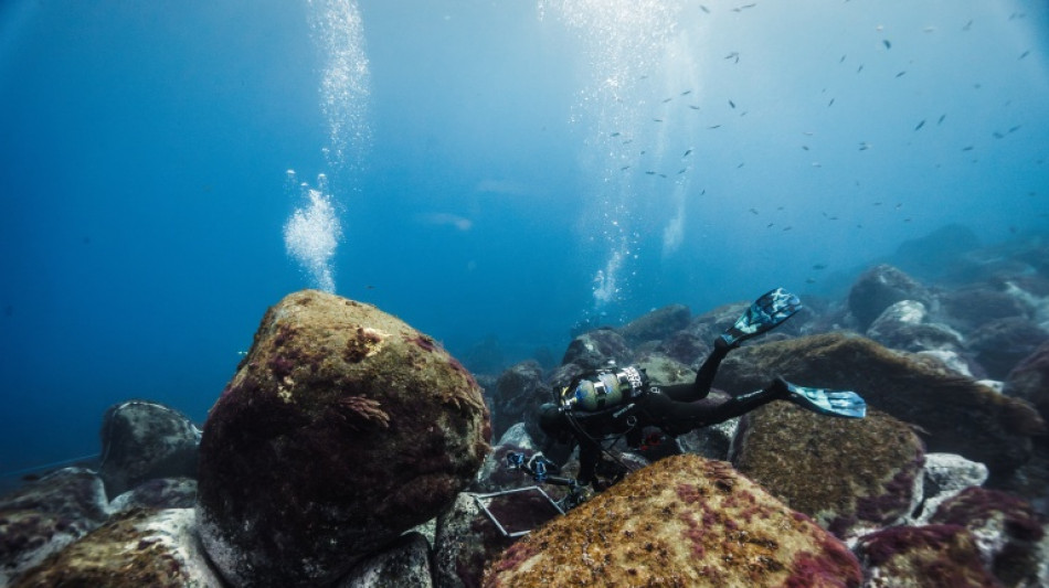  Au large de Mad&egrave;re, des scientifiques sur le front de la protection des oc&eacute;ans 