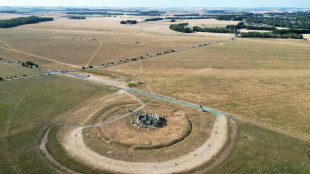 More than half of England 'officially in drought': UK govt