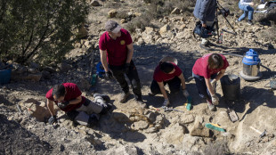 Il fossile di un rettile con piume alternative cambia la storia