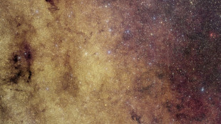 Le c&oelig;ur de la Voie lact&eacute;e photographi&eacute; comme jamais gr&acirc;ce &agrave; Euclid