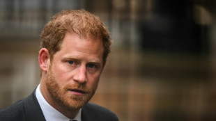 Le prince Harry perd un recours sur sa protection polici&egrave;re au Royaume-Uni