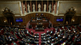 "Plusieurs appels par jour, c'était infernal": le Parlement entérine l'interdiction du démarchage téléphonique non consenti