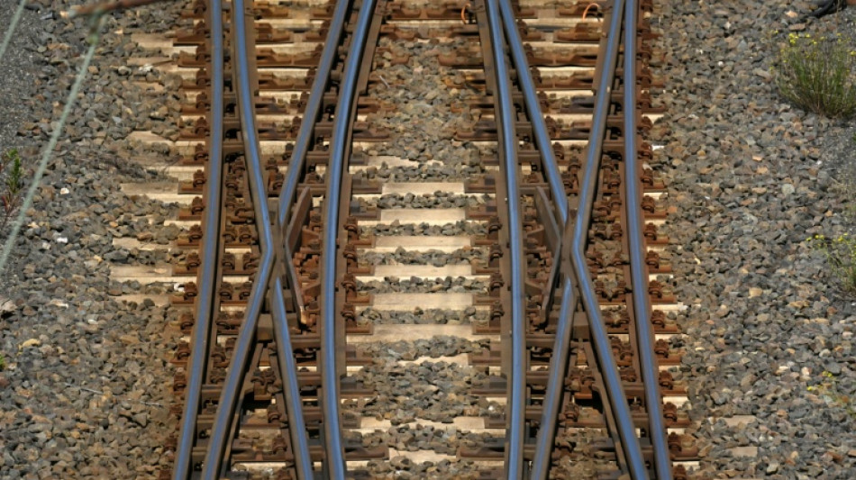  Mehr als 220 Euro pro Kopf: Investitionen in Schienennetz weiter gestiegen 