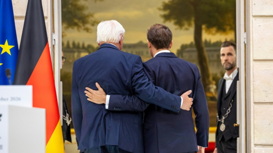  Steinmeier bei Staatsbesuch in Paris: "Deutsche bleiben gute Europ&auml;er" 