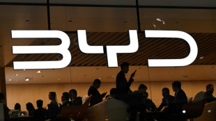 La venta de veh&iacute;culos el&eacute;ctricos e h&iacute;bridos en China crece un 40,7% en 2024